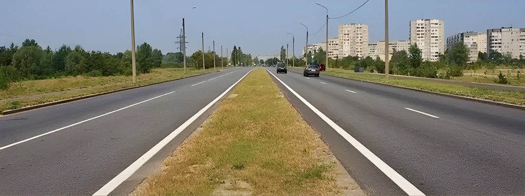Сколько проезжих частей имеет данная дорога?